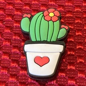 🔥 Bundle 4 For $7 Croc Charms Cactus